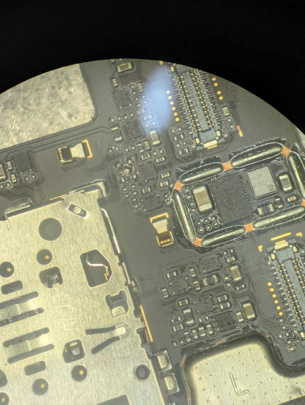 Vista microscópica de placa